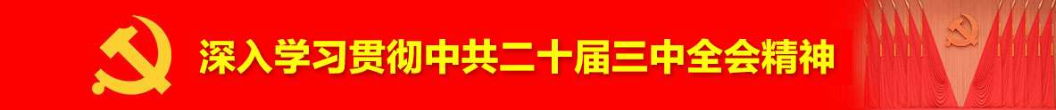 學習貫徹黨的二十屆三中全會精神
